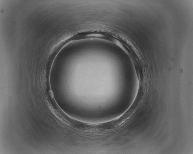 X0000083620677200702121141