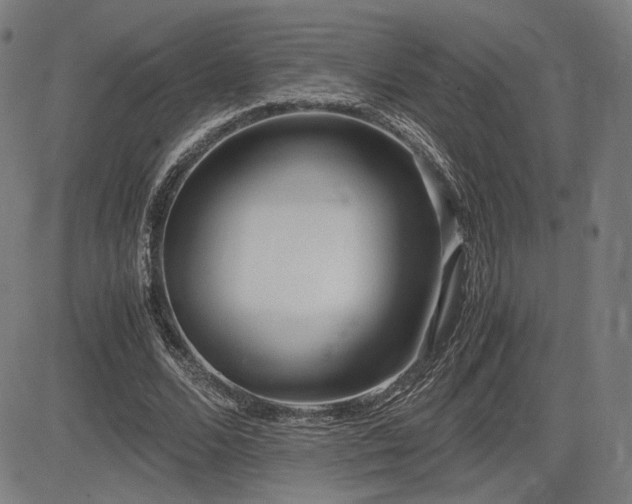 X0000083620680200702121141