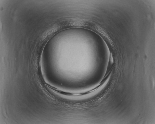 X0000083620681200702121141