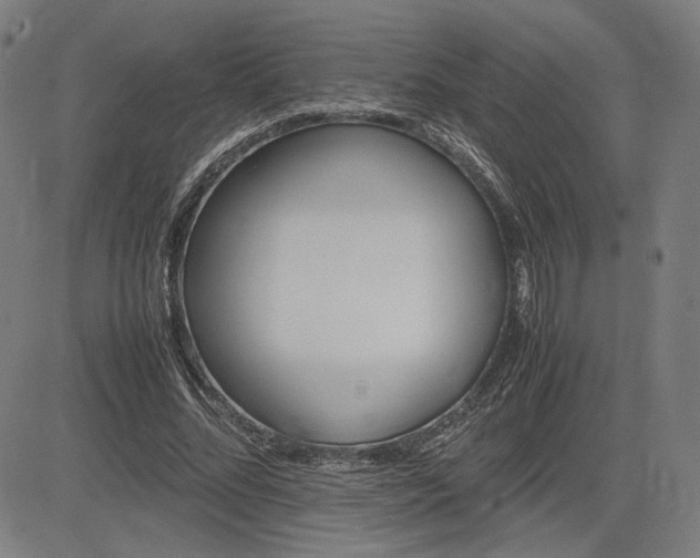 X0000083620684200702121141