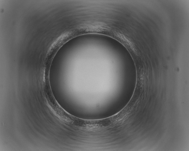X0000083620686200702121141