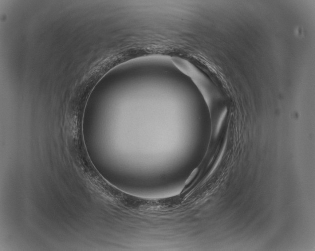 X0000083620689200702121141