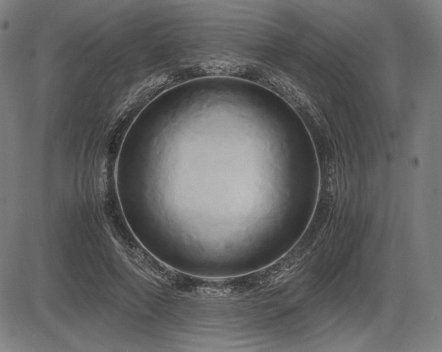 X0000083620690200702121141
