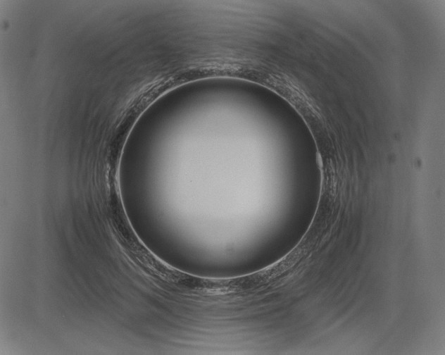X0000083620692200702121141