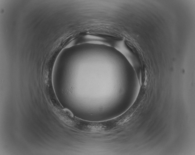 X0000083620693200702121141