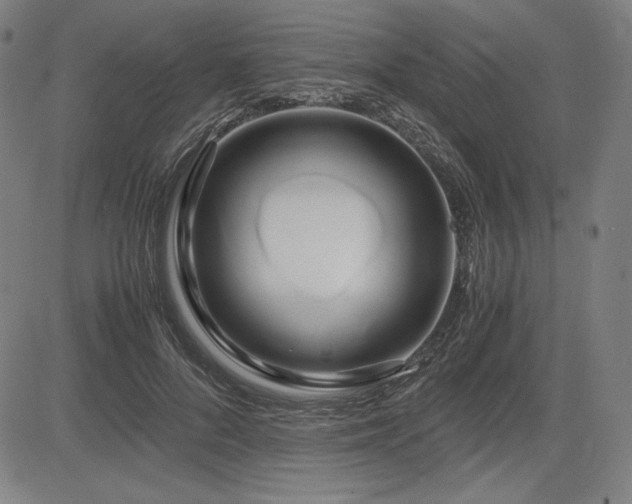 X0000083620696200702121141
