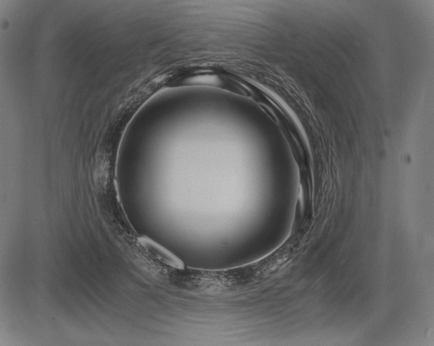 X0000083620697200702121141