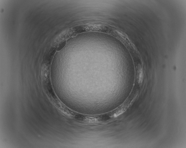 X0000083620701200702121141