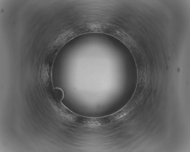 X0000083620702200702121141