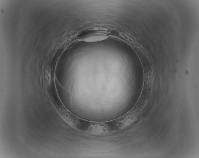 X0000083620703200702121141