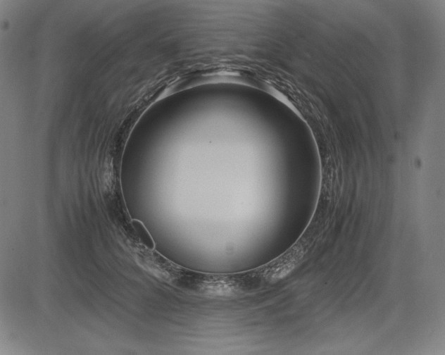 X0000083620704200702121141