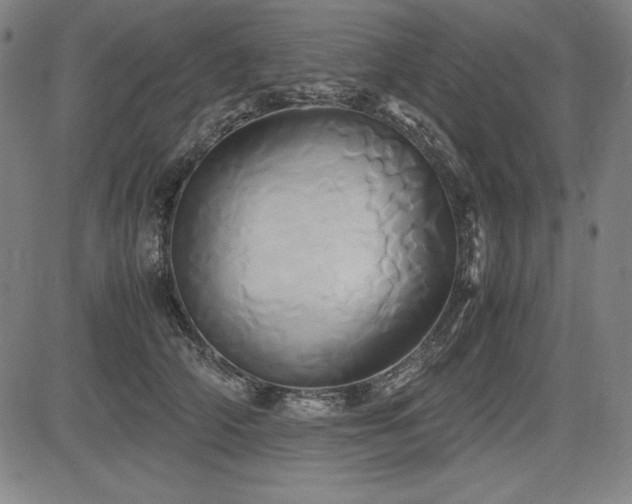 X0000083620706200702121140