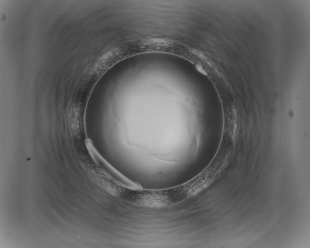 X0000083620708200702121140