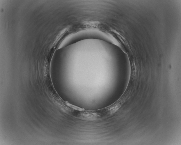X0000083620712200702121140
