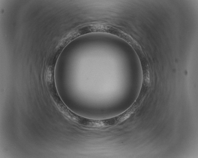 X0000083620715200702121140