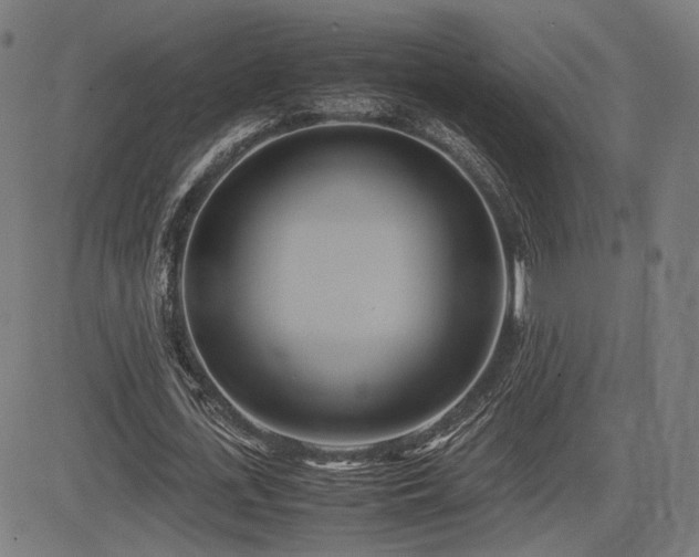 X0000083620723200702121139