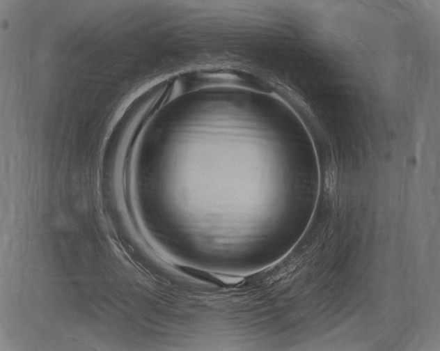 X0000083620724200702121140