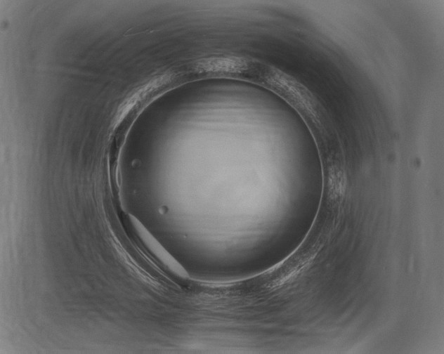 X0000083620725200702121140