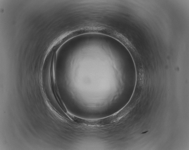 X0000083620726200702121140