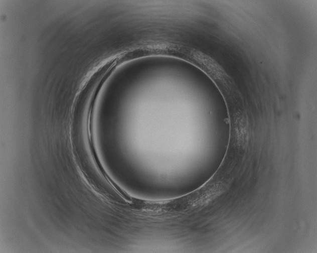 X0000083620728200702121140
