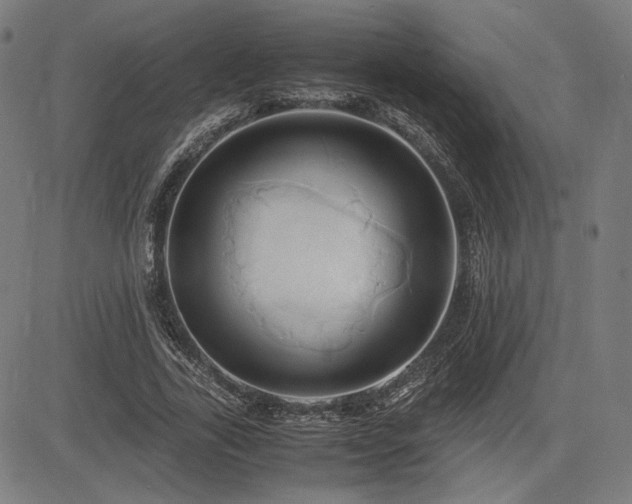 X0000083620731200702121140