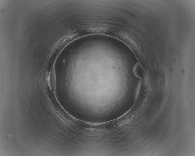 X0000083620733200702121140
