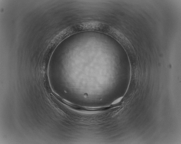 X0000083620737200702121140
