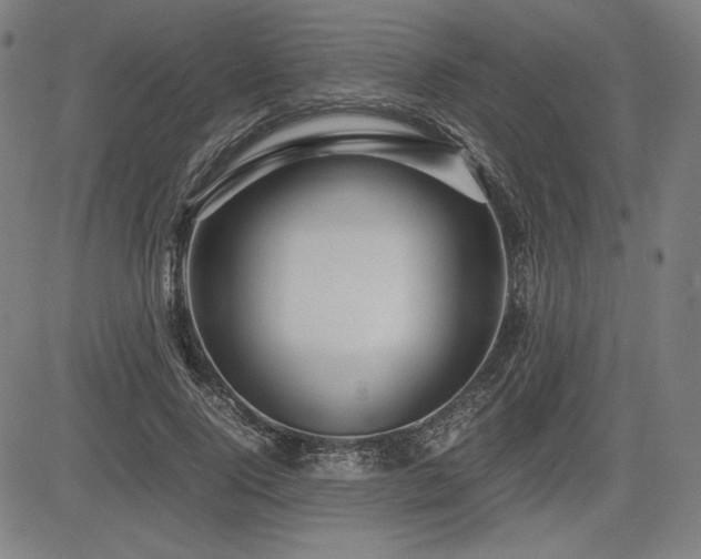 X0000083620740200702121140