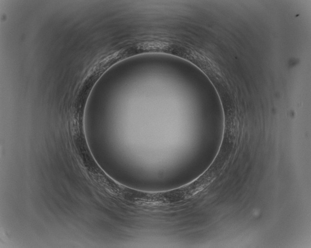 X0000083620743200702121140