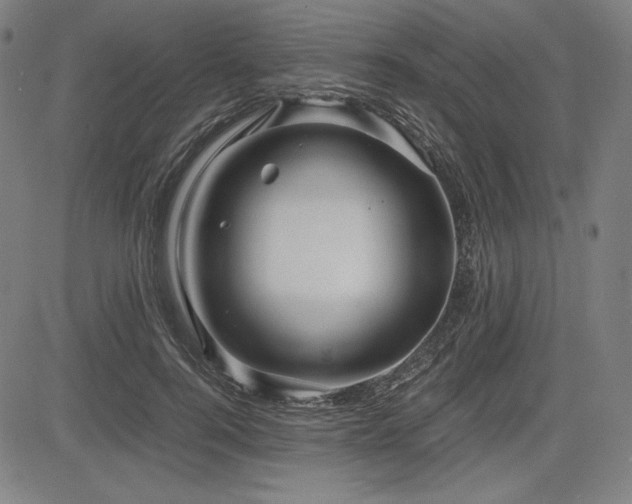 X0000083620744200702121140