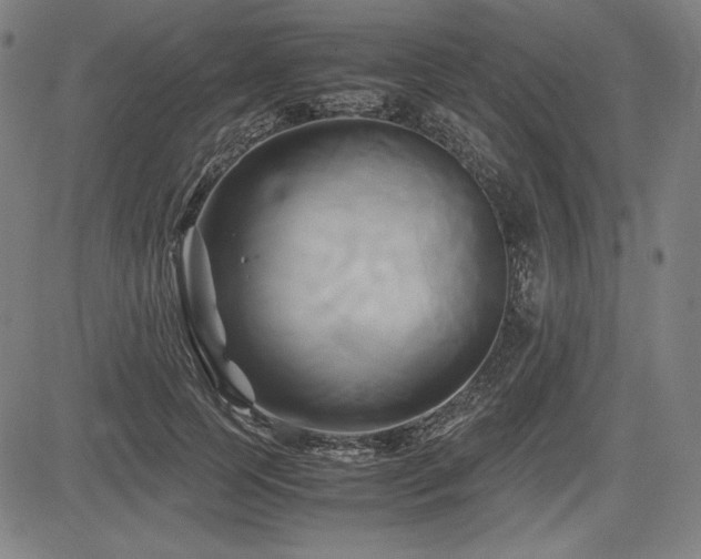 X0000083620745200702121140