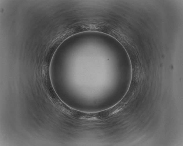X0000083620747200702121140