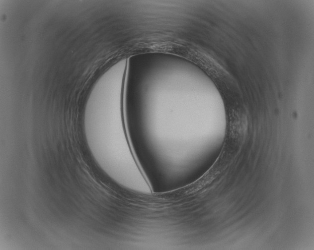 X0000083620748200702121140