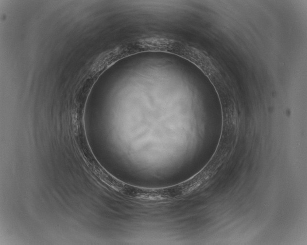 X0000083620749200702121140