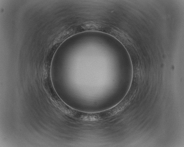 X0000083620751200702121140