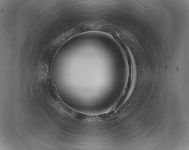 X0000083620752200702121140
