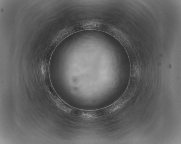 X0000083620753200702121140