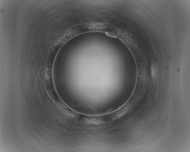 X0000083620755200702121140