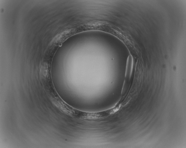 X0000083620758200702121140