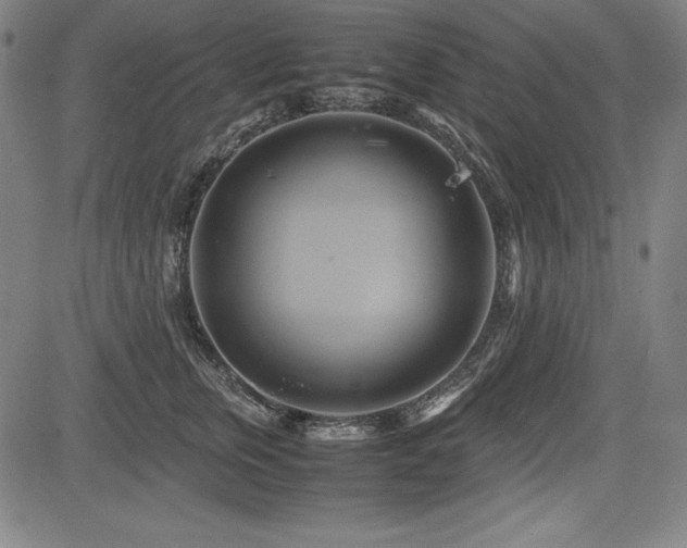 X0000083620759200702121140