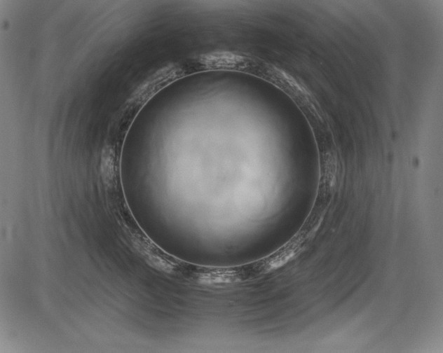X0000083620761200702121140