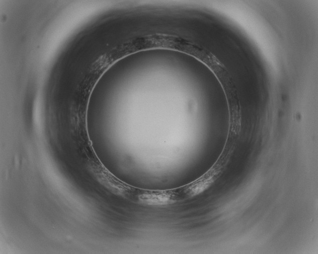 X0000083620765200702121140