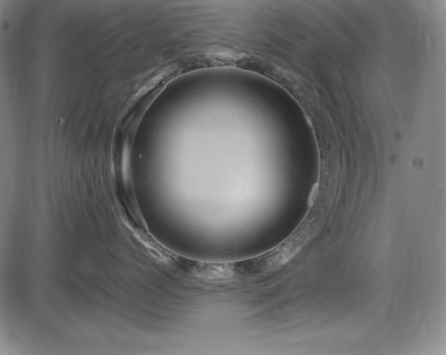X0000083620768200702121140