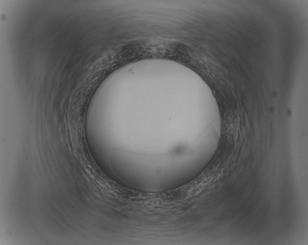 X0000083620769200702121139