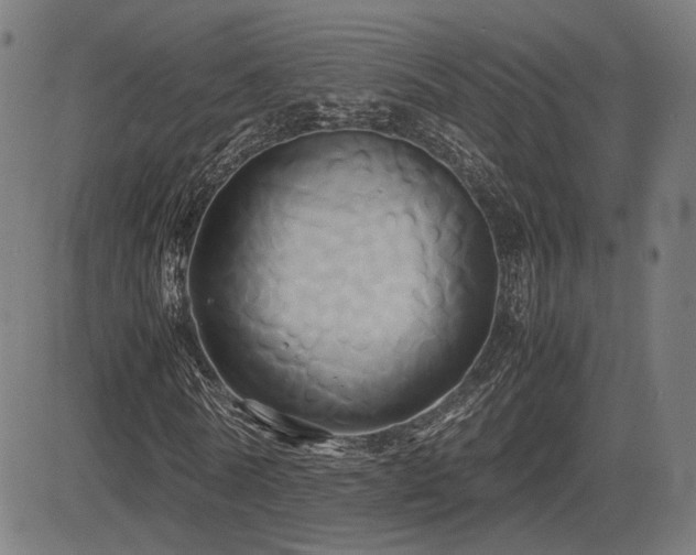 X0000083620770200702121139