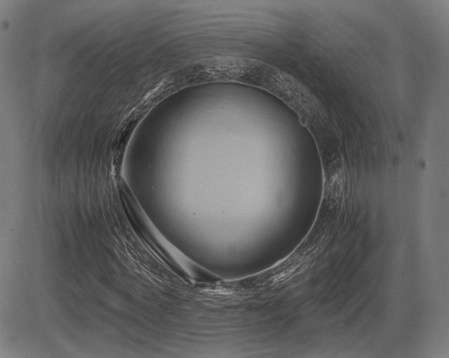 X0000083620772200702121139