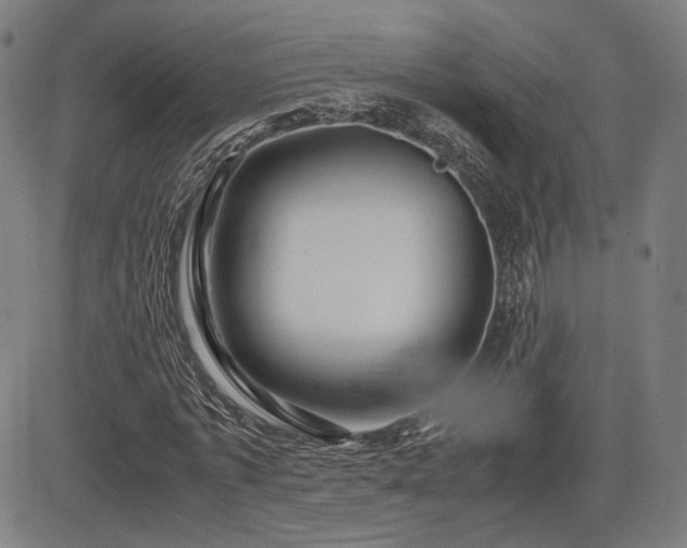 X0000083620773200702121139