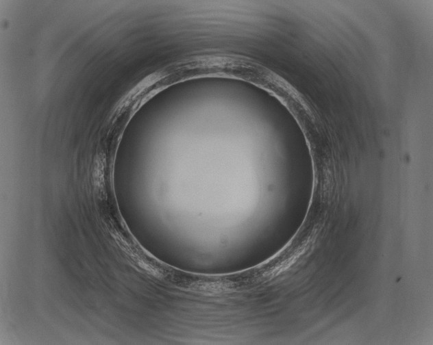 X0000083620778200702121139
