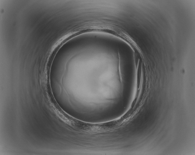 X0000083620787200702121139
