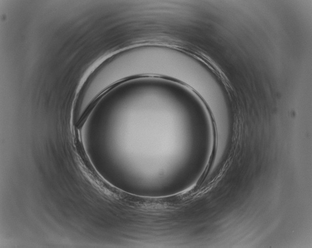 X0000083620788200702121139